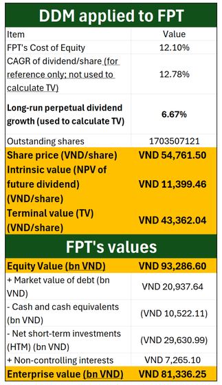 Valuing Vietnam's largest technology company without observable inputs