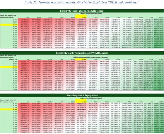 Valuing Vietnam's largest technology company without observable inputs