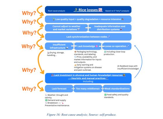 Loss mapping and method review, Vietnam's rice supply chain