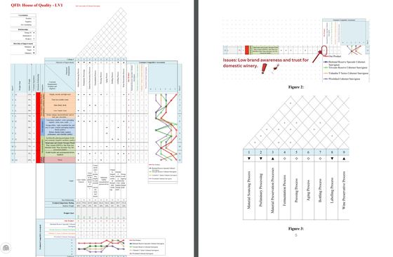 Six-month production plan for a Vietnamese wine startup